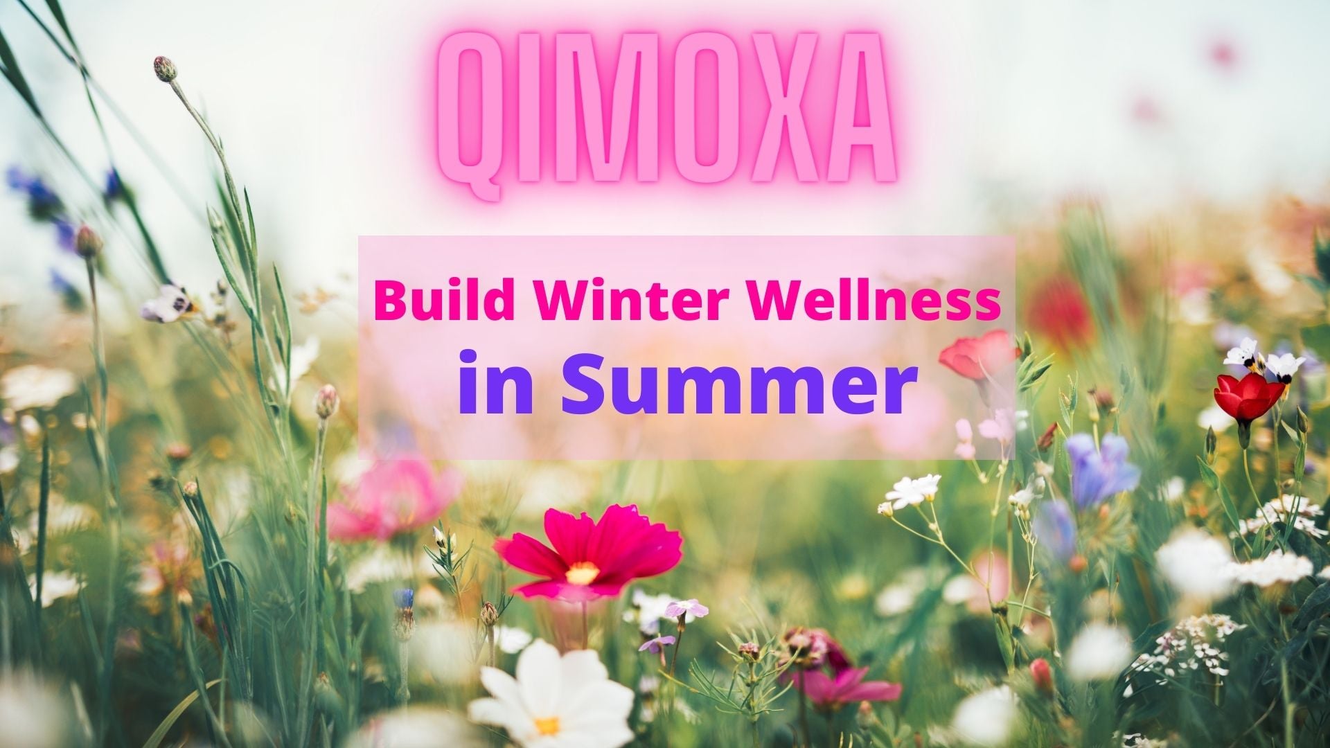QiMOXA builts winter wellness in summer